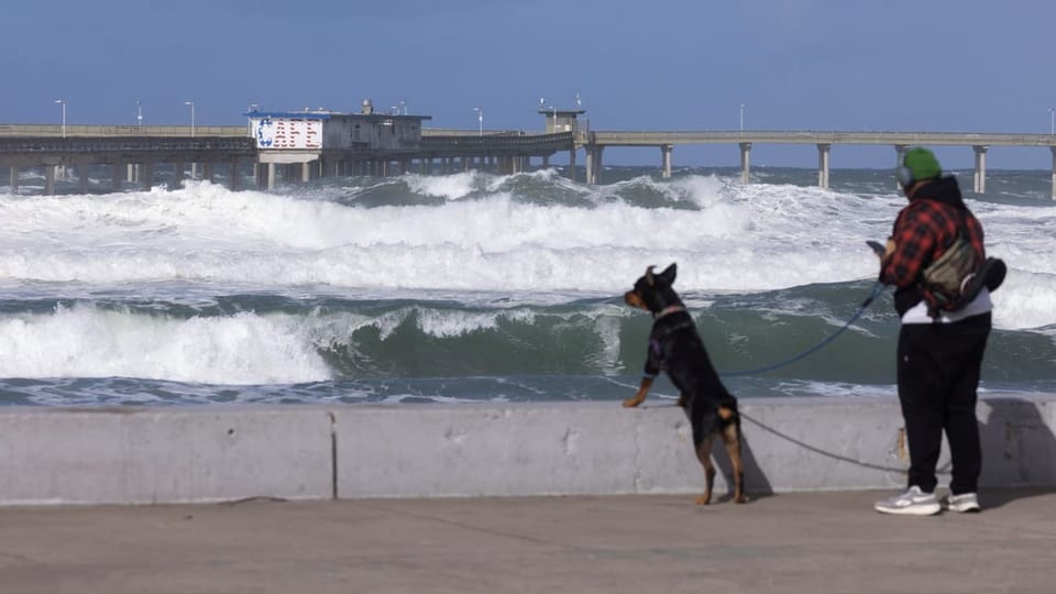 Frau mit Hund an der Leine steht vor einer Betonbarrikade am Meer.