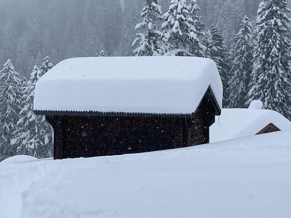 Tiefverschneite Landschaft mit Chalet unter einer 1 m Schneelast.