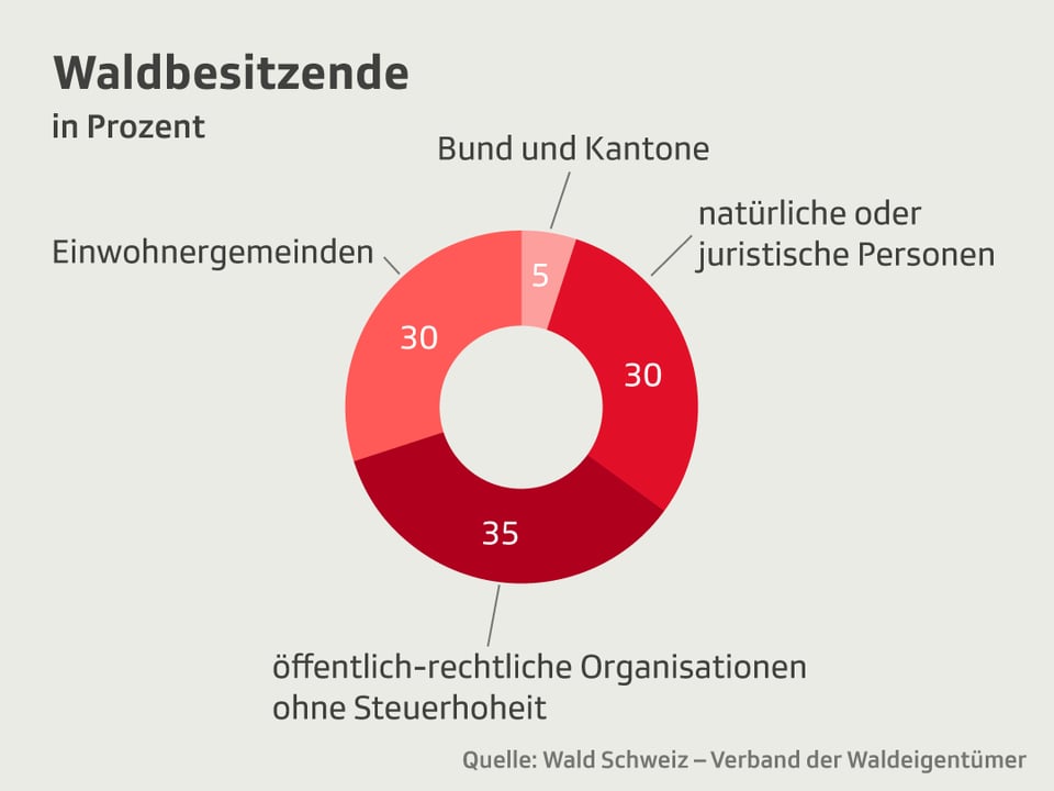 Eine Grafik, die zeigt, dass der grösste Teil des Waldes von öffentlich-rechtlichen Organisationen besessen wird. 