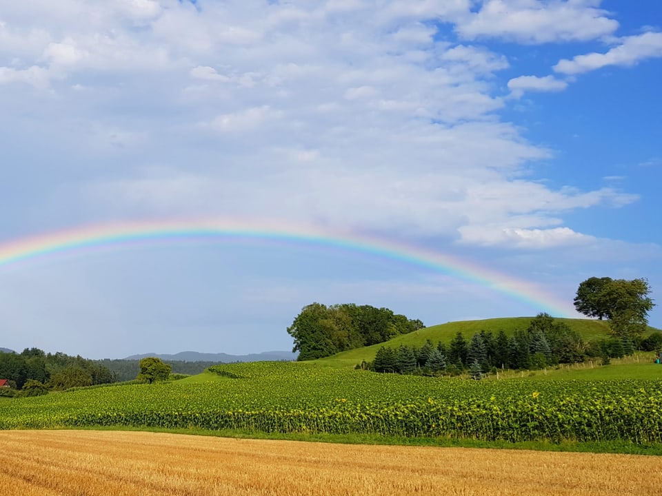 Regenbogen