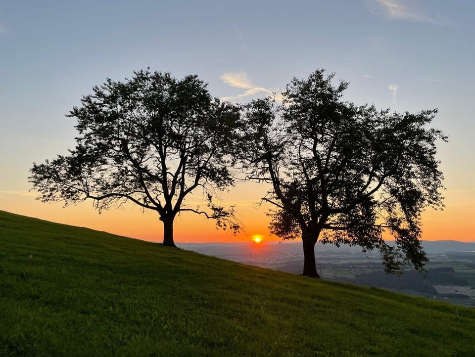 Sonnenuntergang auf Hügel mit Bäumen