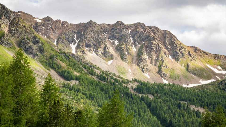 Val di Campo