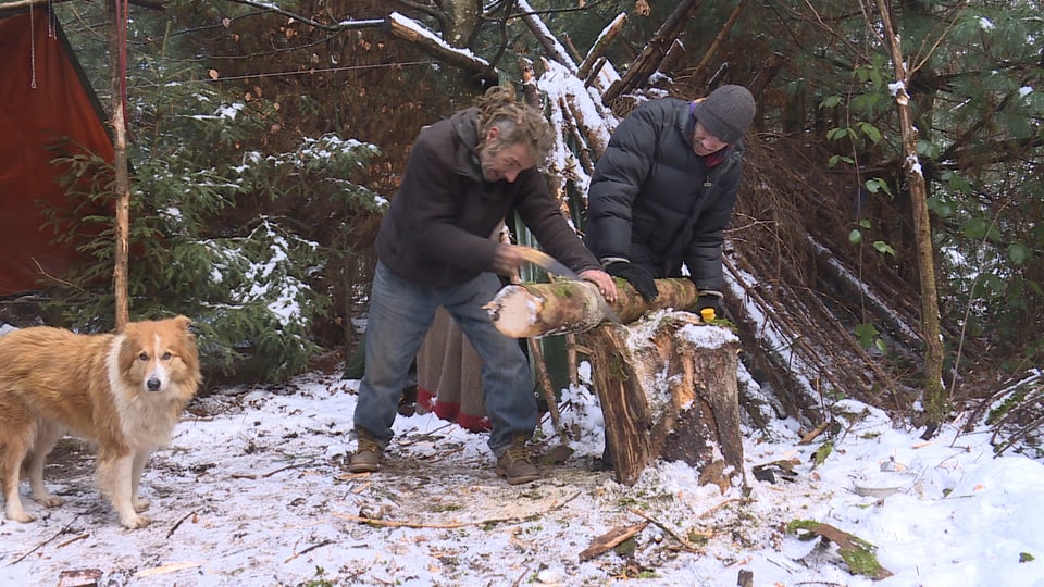 zwei Männer im Wald versagen Holz