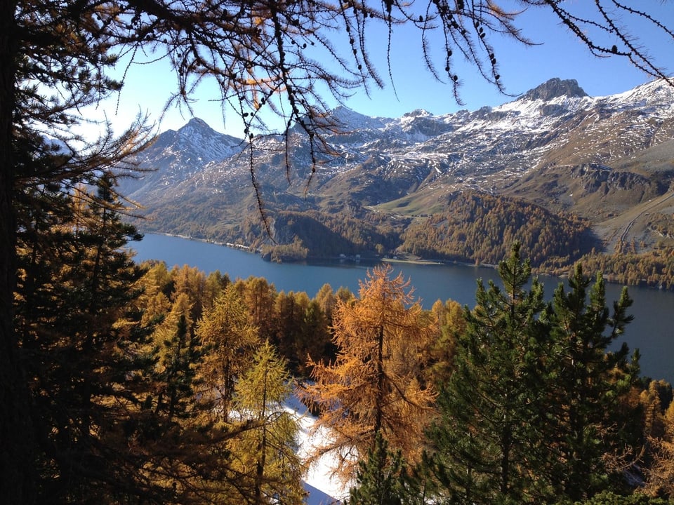 Bergpanorama mit See und Bäumen im Vordergrund.