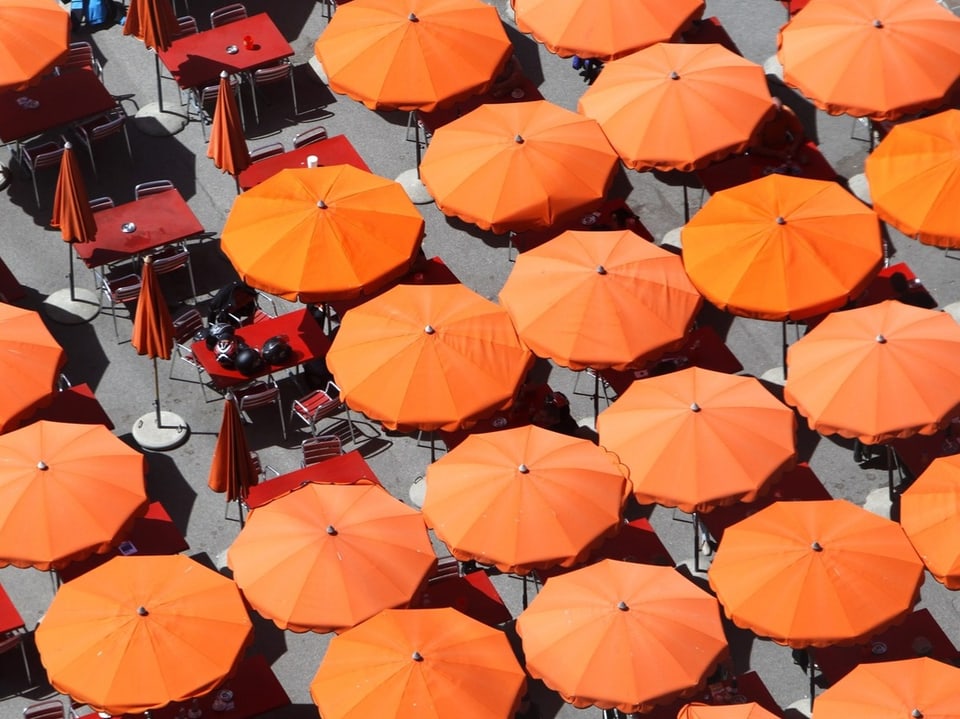 Viele orange Sonnenschirme stehen nebeneinander.