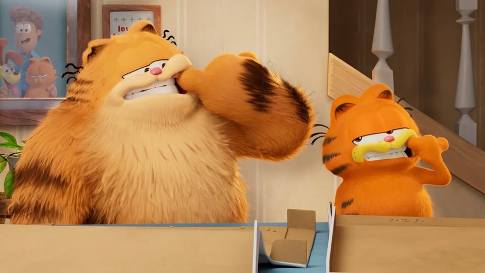 Zwei dicke orangene Katzen reinigen sich die Zähne.
