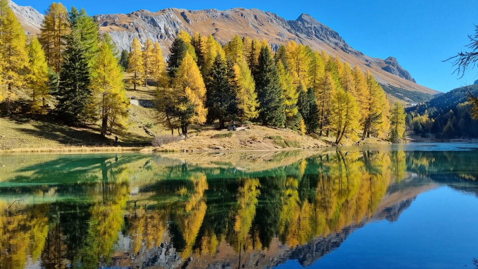 See mit buntem Herbstwald und Berg im Hintergrund.