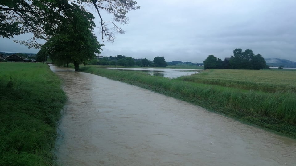 Überfluteter Feldweg neben einem Fluss in grüner Landschaft.