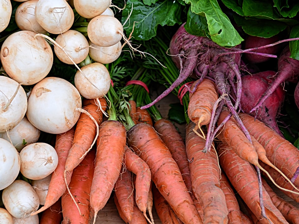 Ganz viele Gemüse auf einem Haufen. Karotten, Pilze und Salat.