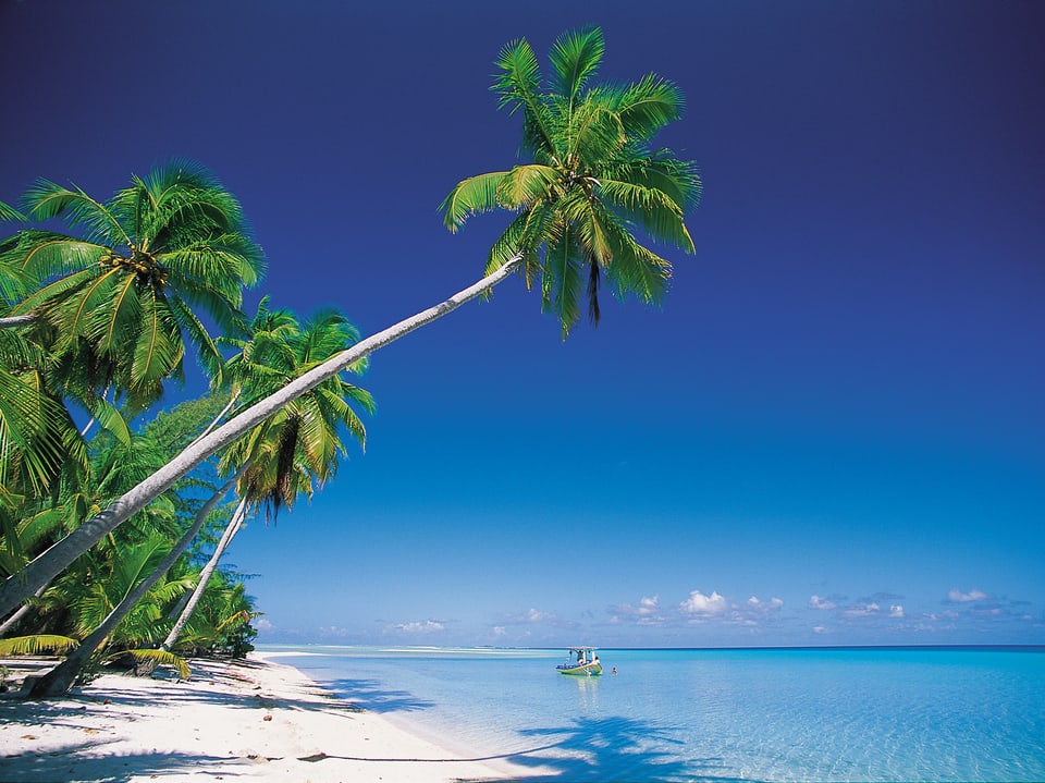 Weisser Sandstrand mit Palmen und leuchtend blauem Meer.