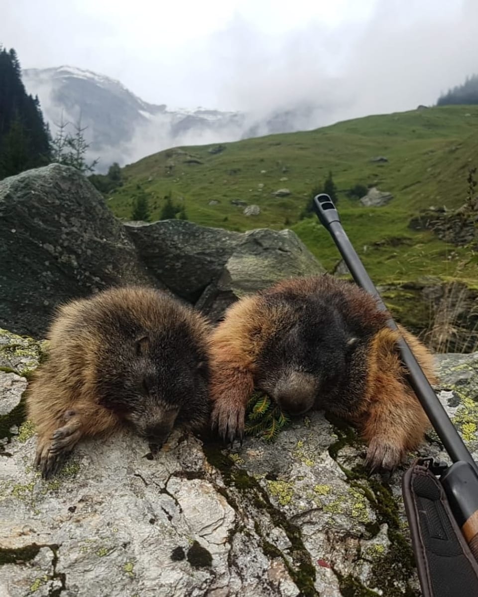 Purtret da las duas muntanellas e la buis dasperas. 