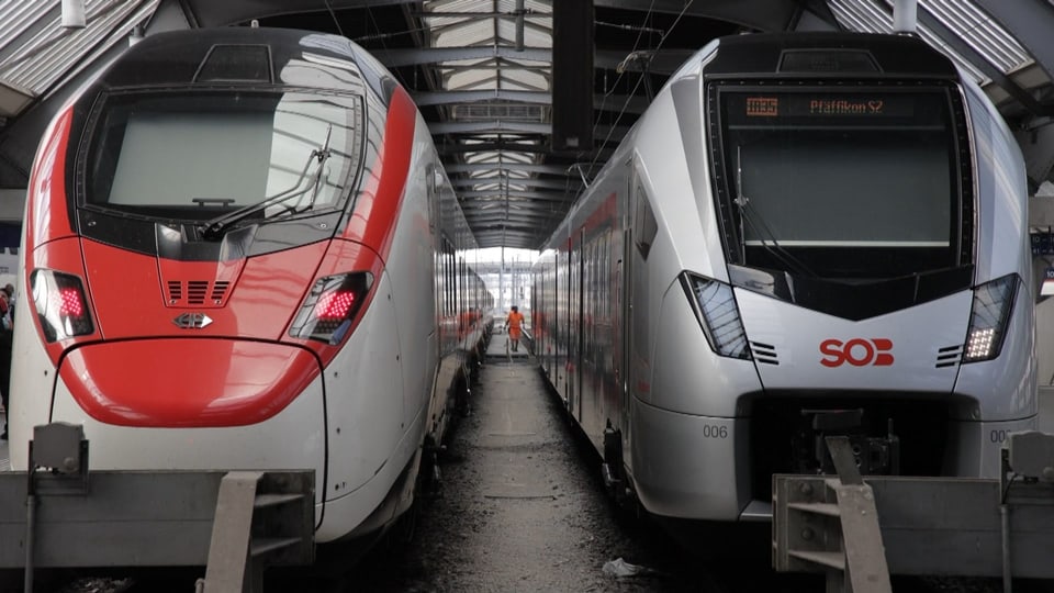 Zwei Züge stehen im Kopfbahnhof in Zürich. Zwischen ihnen ist in der Ferne ein Arbeiter zu erkennen. 