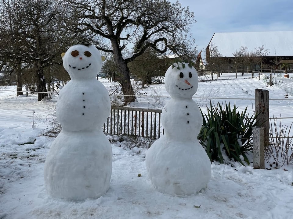 Zwei Schneemänner im verschneiten Garten stehen nebeneinander.