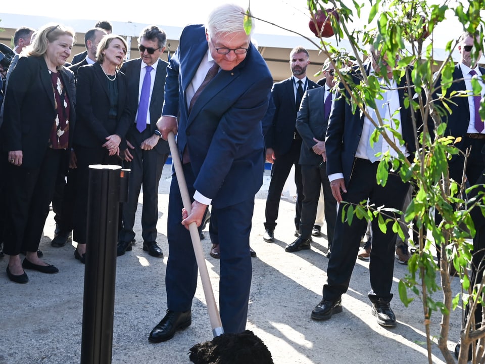 Steinmeier pflanzt Baum.