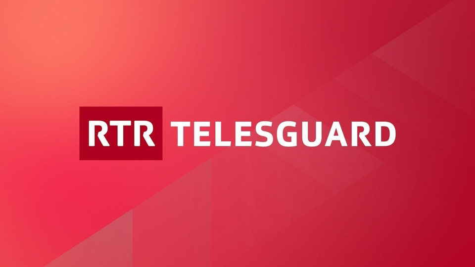 visual dal Telesguard