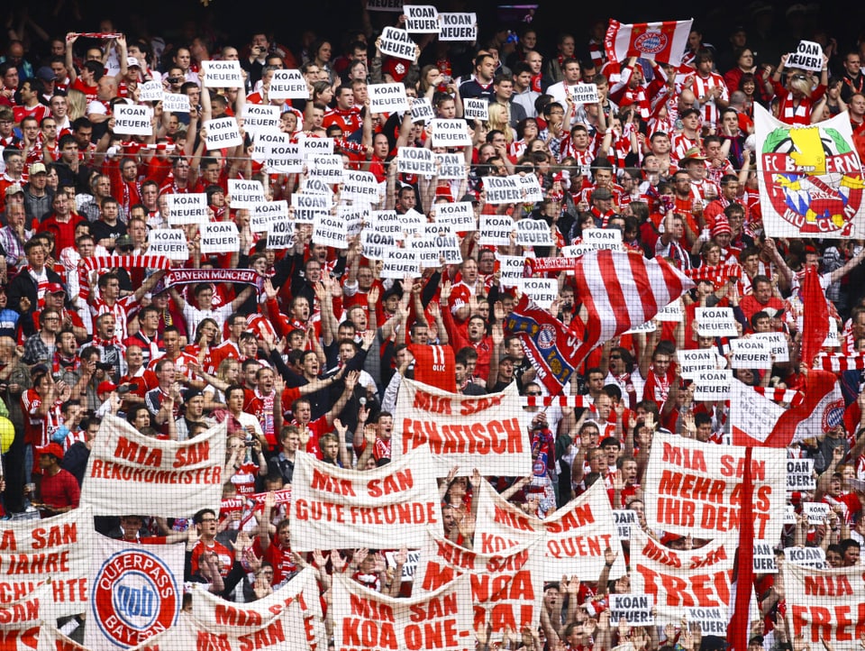 Fussballfans mit Plakaten