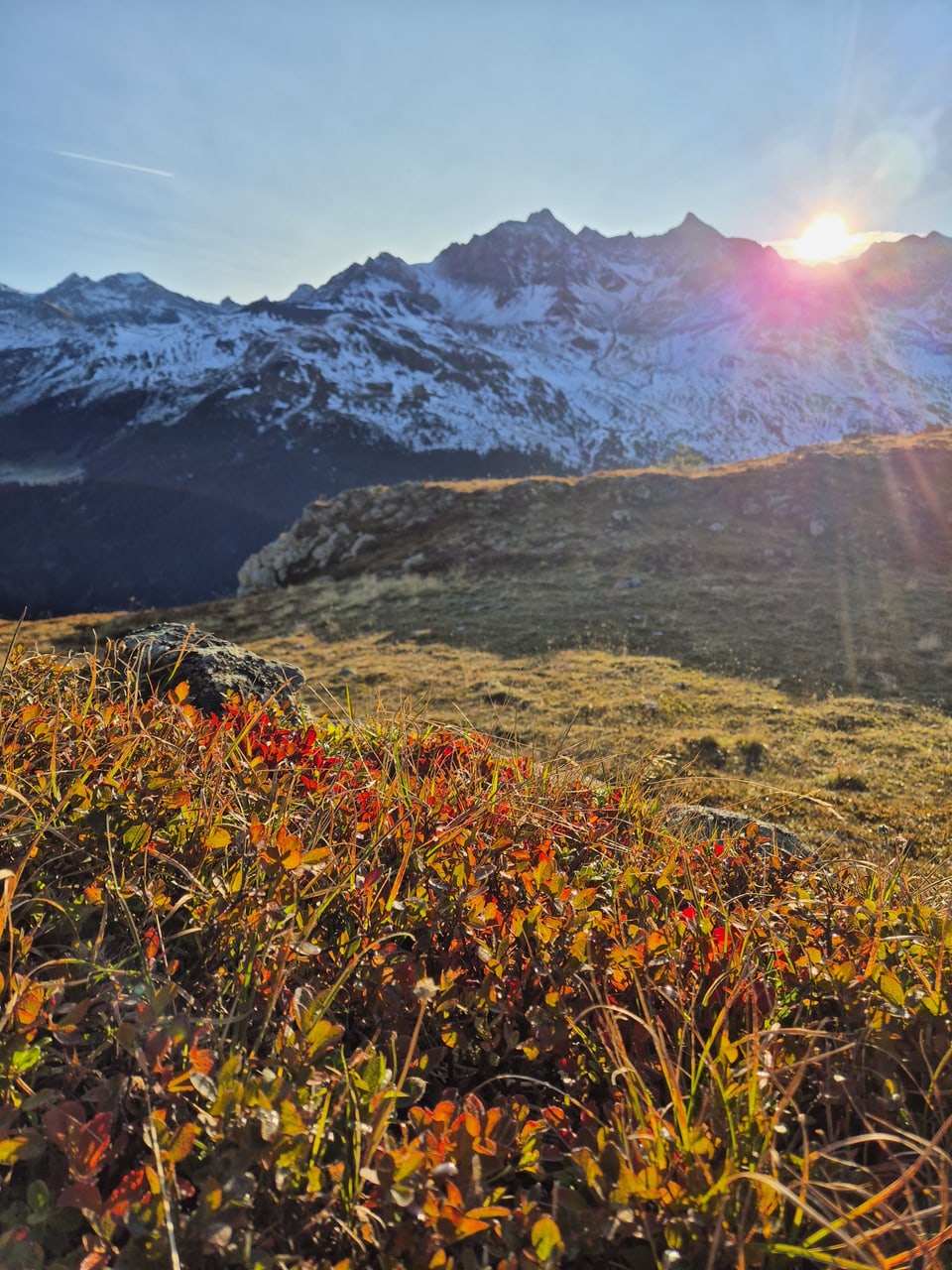 Alpenlandschaft bei Sonnenaufgang mit Bergkette und Wiese im Vordergrund.