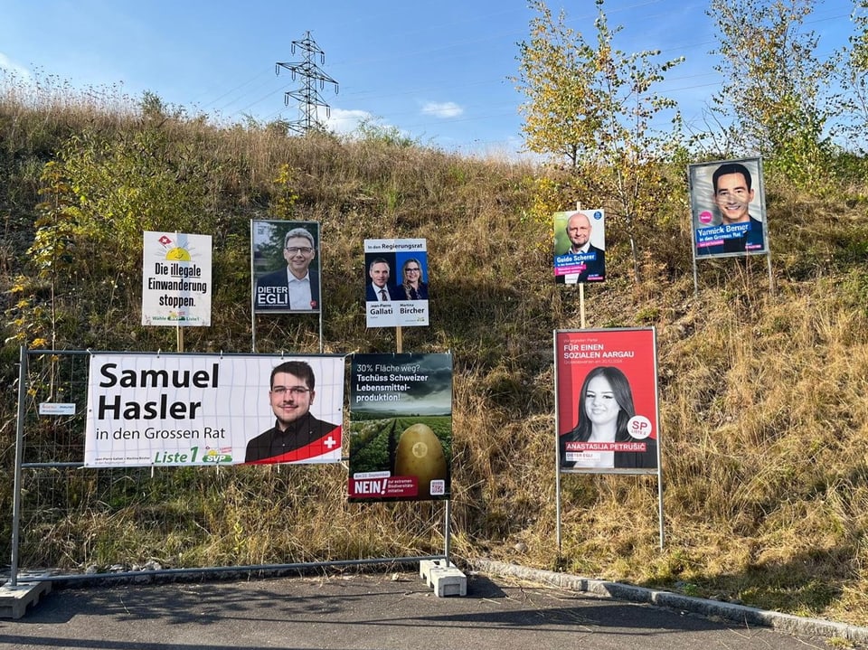 Wahlplakate verschiedener Parteien.