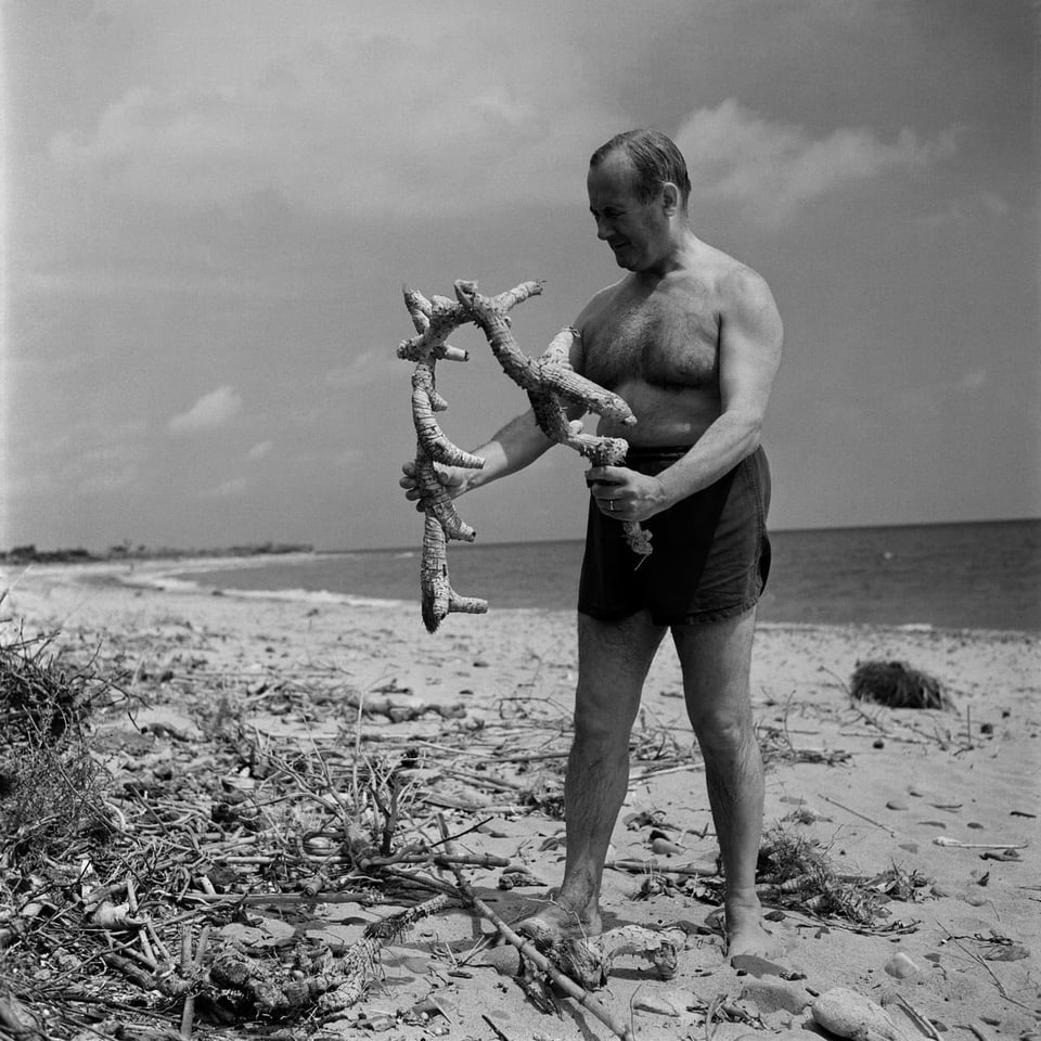 Ein Mann mit nacktem Oberkörper steht an einem Strand und hält ein Stück Holz