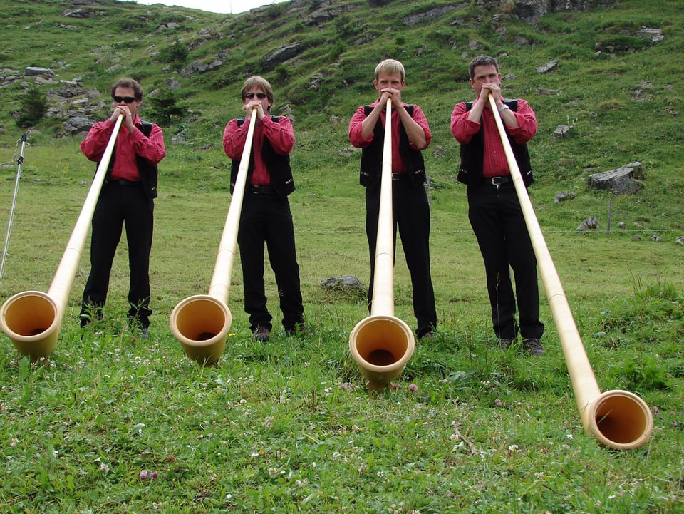 Vier schwarz-rot gekleidete Alphornbläser auf einer Bergmatte.