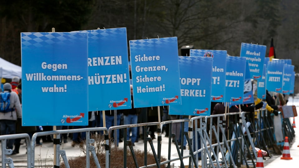 AfD-Plakate