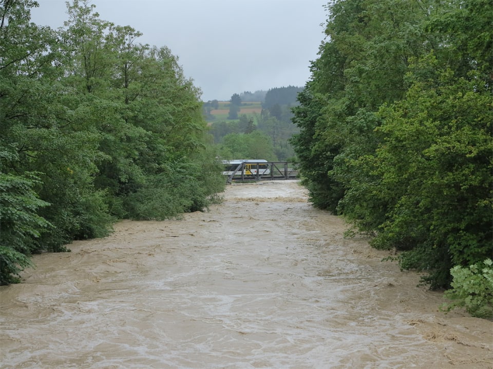 Ein reissender Fluss, am Ufer stehen Bäume