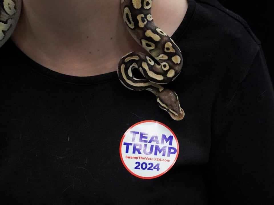 Person mit Python-Schlange und Team Trump 2024 Aufkleber.