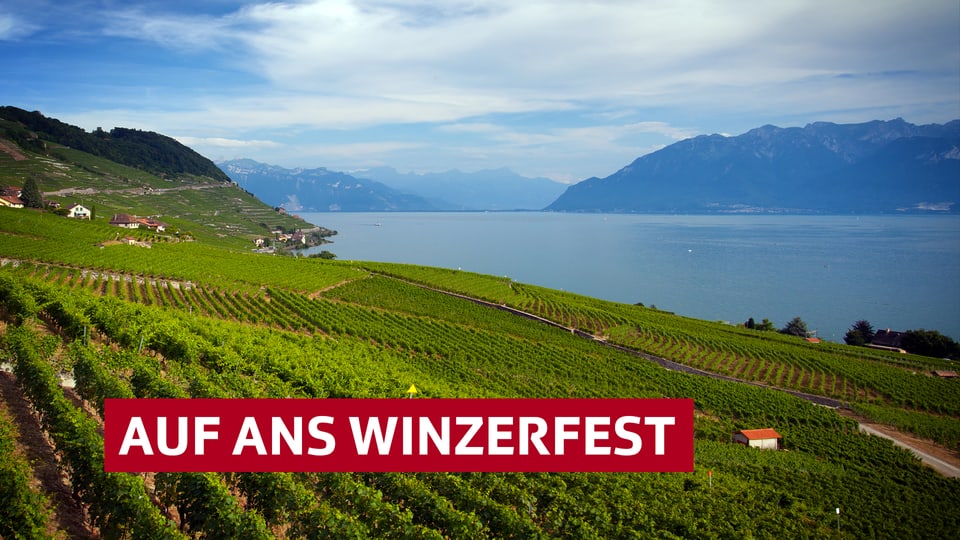 Auf ans Winzerfest