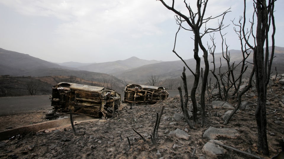 Verbrannte Bäume und Fahrzeuge sind nach einem Waldbrand in Bejaia, Algerien, am 25. Juli 2023 zu sehen.
