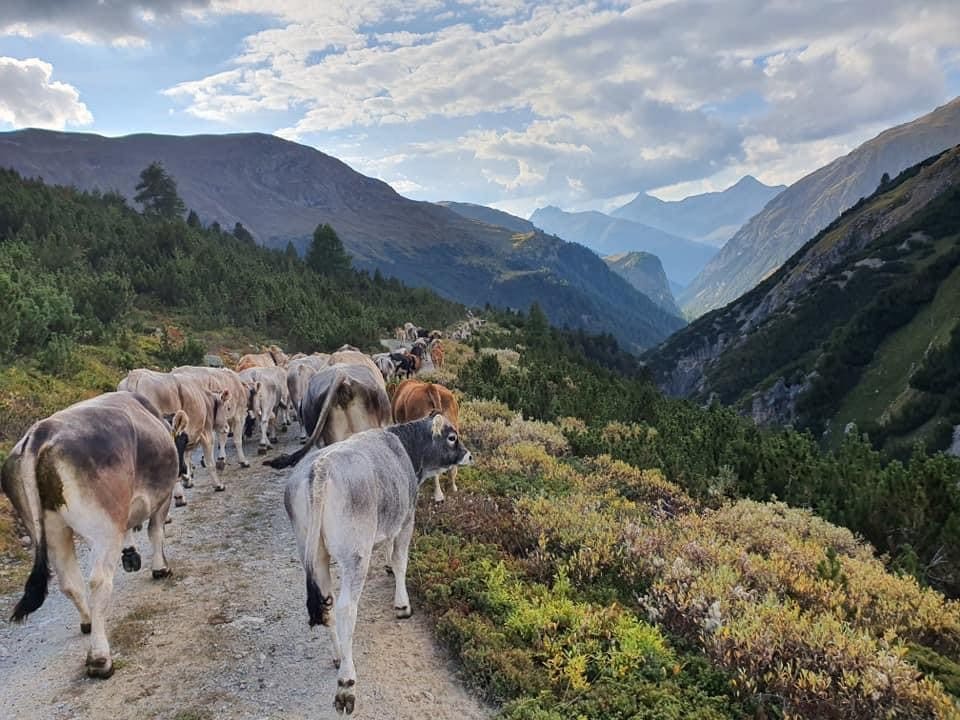 Vatgas sin ina via natirala.