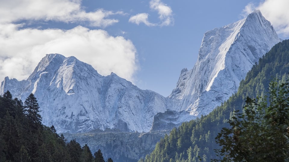 Der Piz Cengalo links und der Piz Badile rechts. Im Vordergrund Wälder.