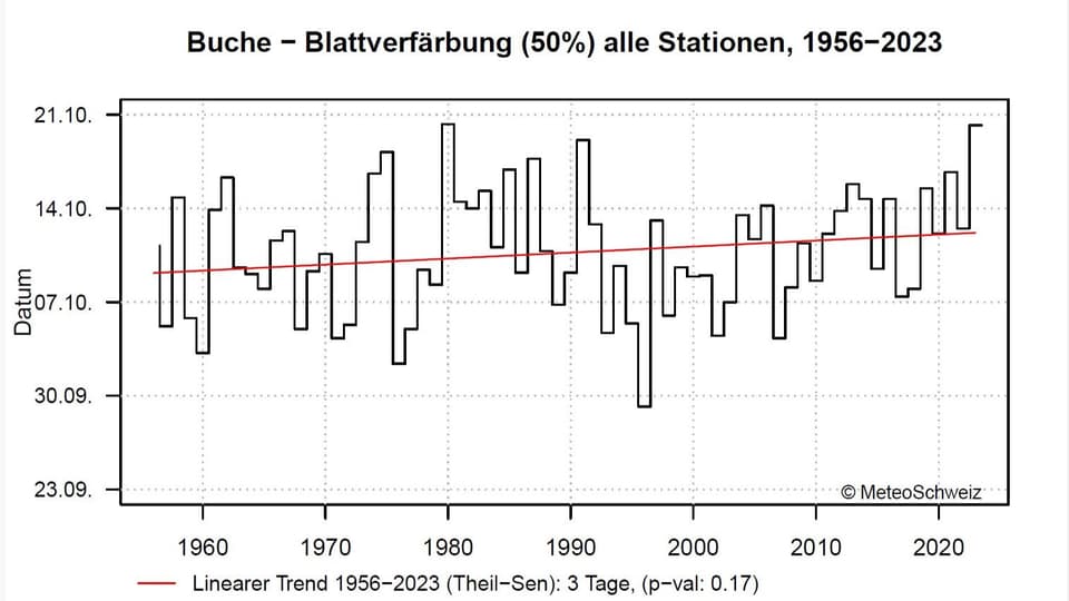 Blattverfärbung: 3 Tage später