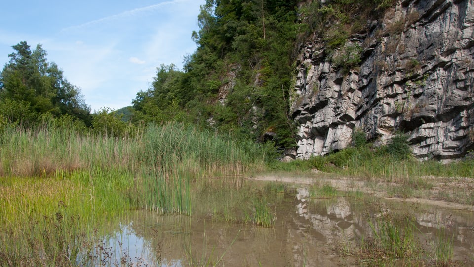 Felswand mit Spuren des Kalkabbaus, davor Teich