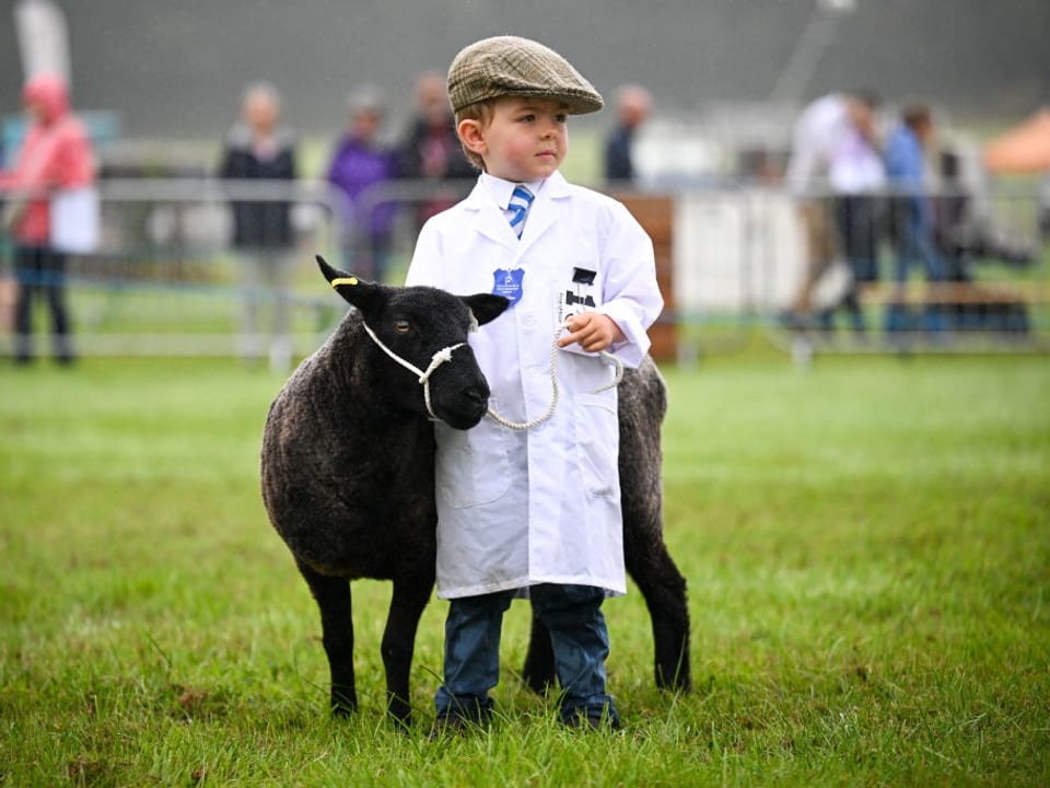 Ein Junge präsentiert sein Schaf an einer Landwirtschaftsmesse.