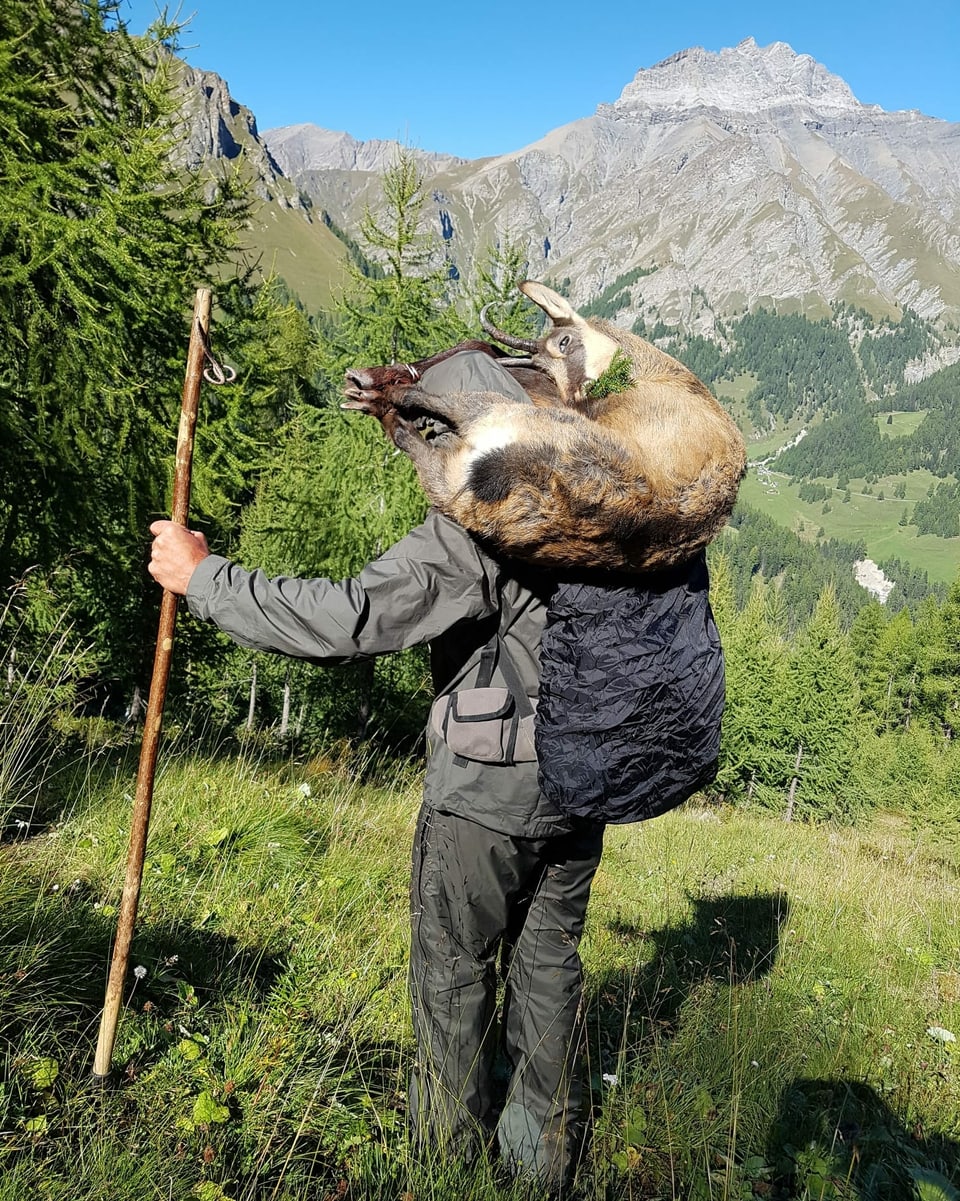 Impressiun da chatscha en Val Sinestra.