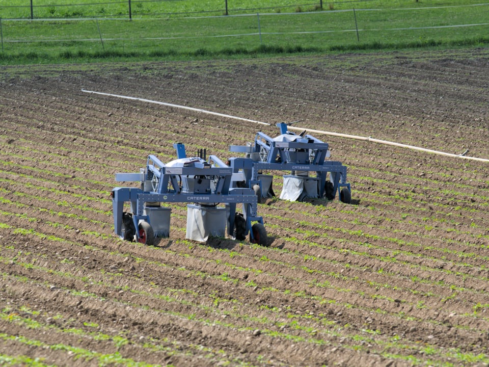 Zwei Roboter bei der Arbeit auf einem Feld.