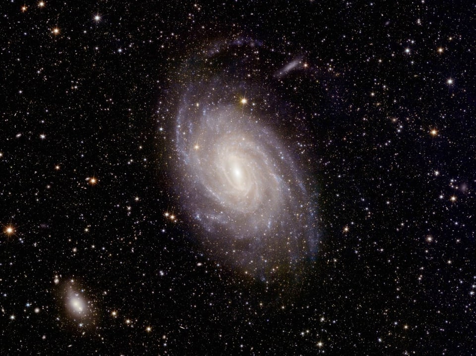 Spiralgalaxie vor einem Hintergrund aus Sternen.