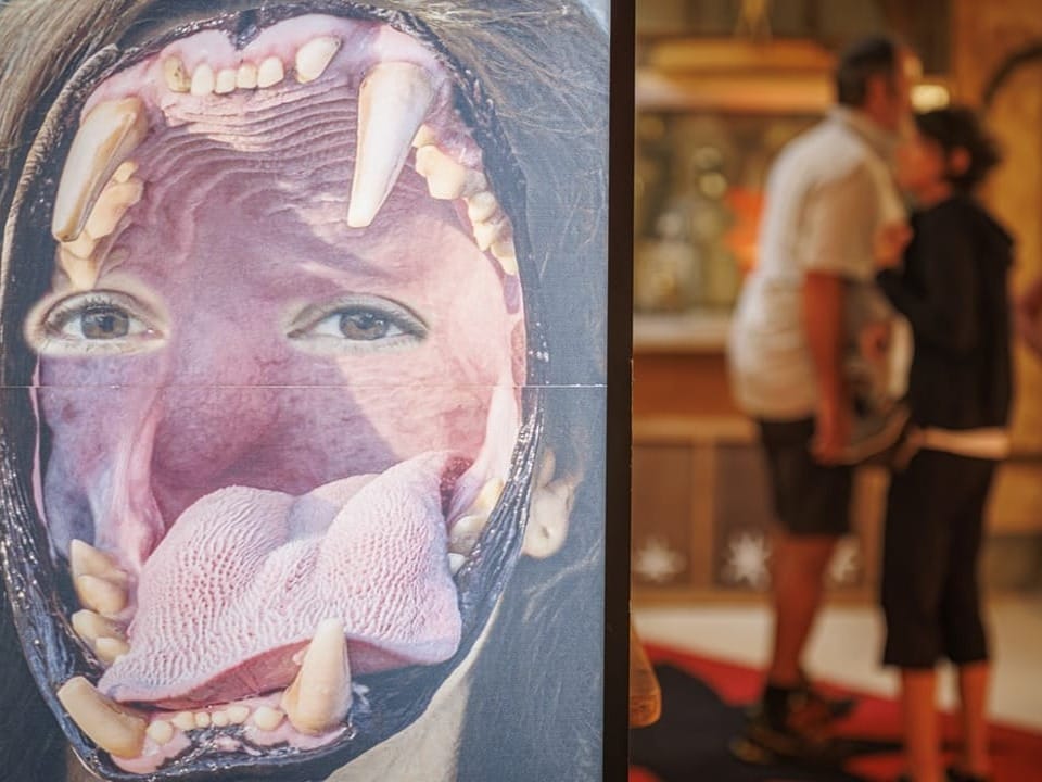 Kunst von Augustin Rebetez, Gesicht mit Tierfratze, im Hintergrund sind Menschen zu sehen.