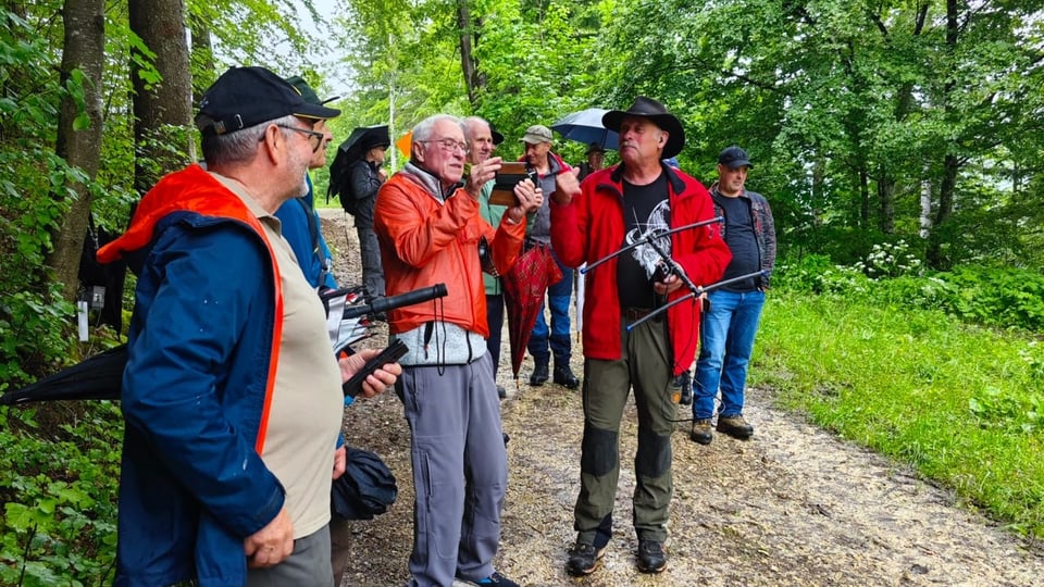 Männer in Regenjacken stehen auf einem Waldweg, einige machen Fotos mit dem Handy. 