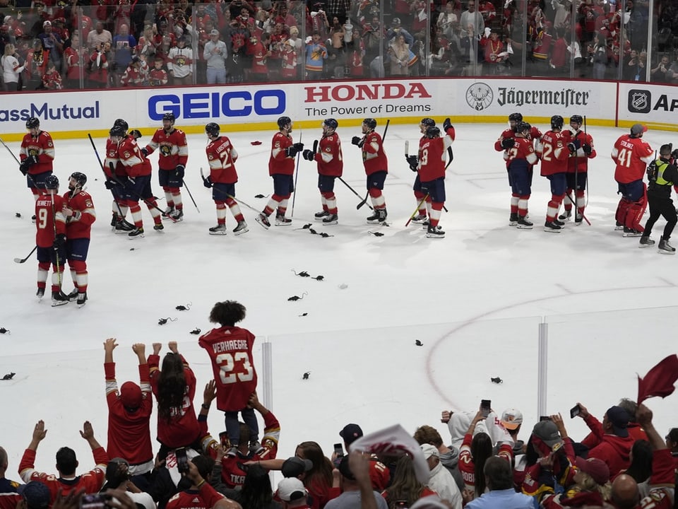 Eishockeyspieler stehen auf dem Eis und feiern, während Fans jubeln.