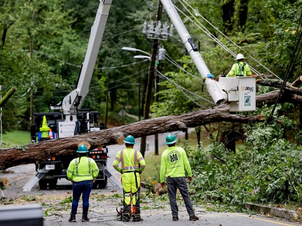 Arbeiter räumen Baum von Strasse