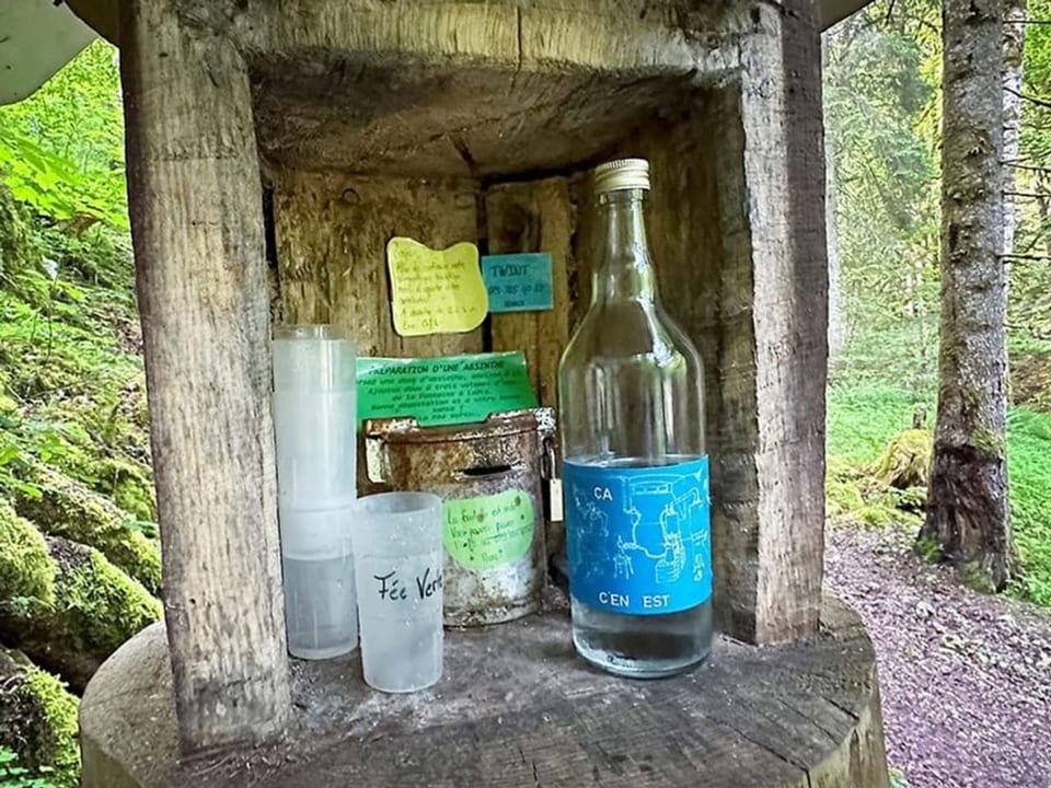 Versteckte Absinthflasche im Wald.