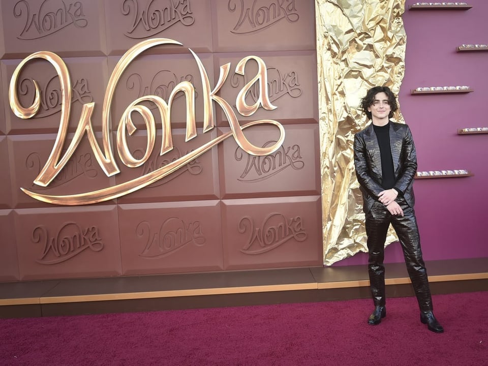 Timothée Chalamet vor einem Wonka-Plakat.