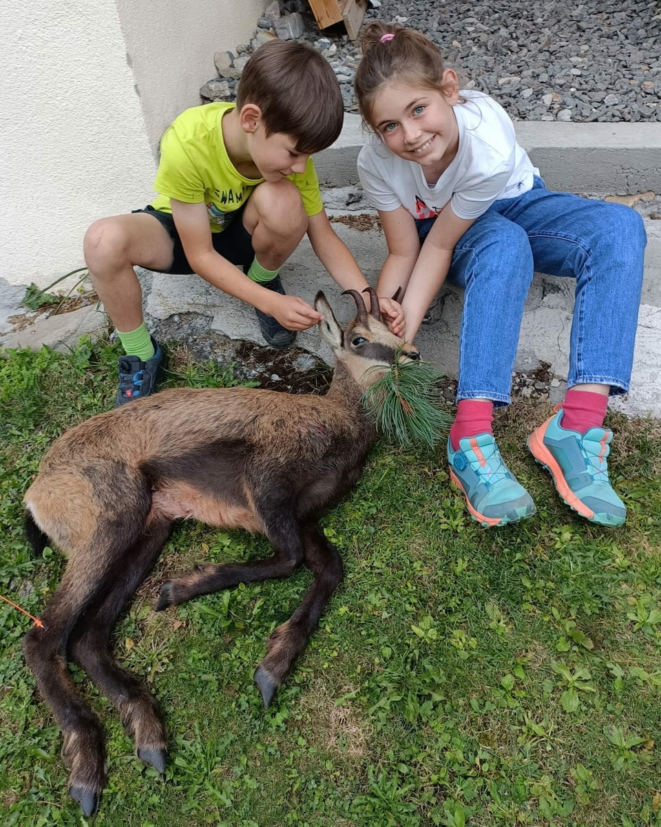 zwei Kinder mit erlegter Gemsgeiss im Gras vor einem Haus