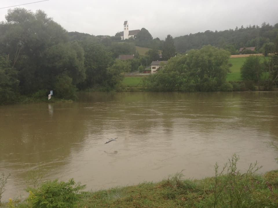 Ein Fluss mit hohem Wasserstand