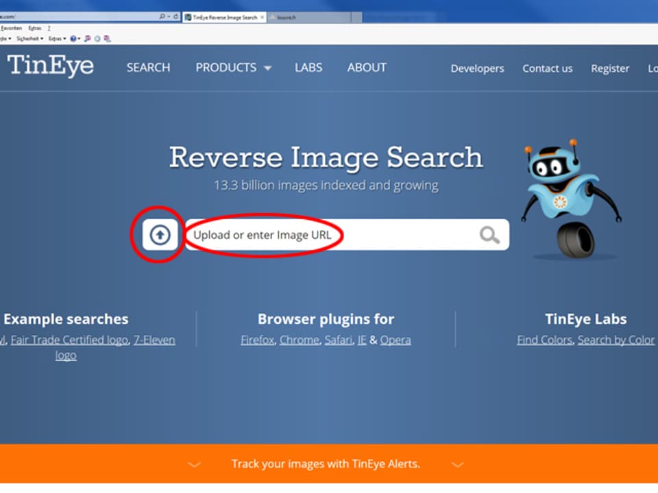 Screenshot www.tineye.com.