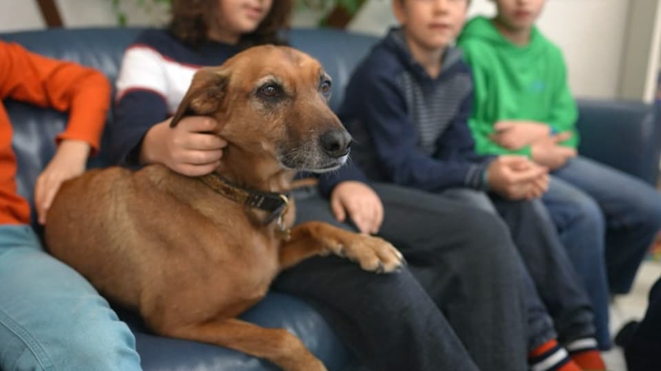 Ein Hund sitzt neben Kindern auf einem Sofa.