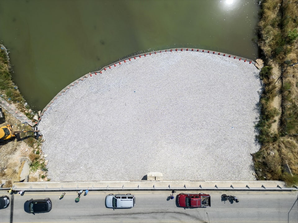 Luftaufnahme eines Parkplatzes am Gewässerufer.