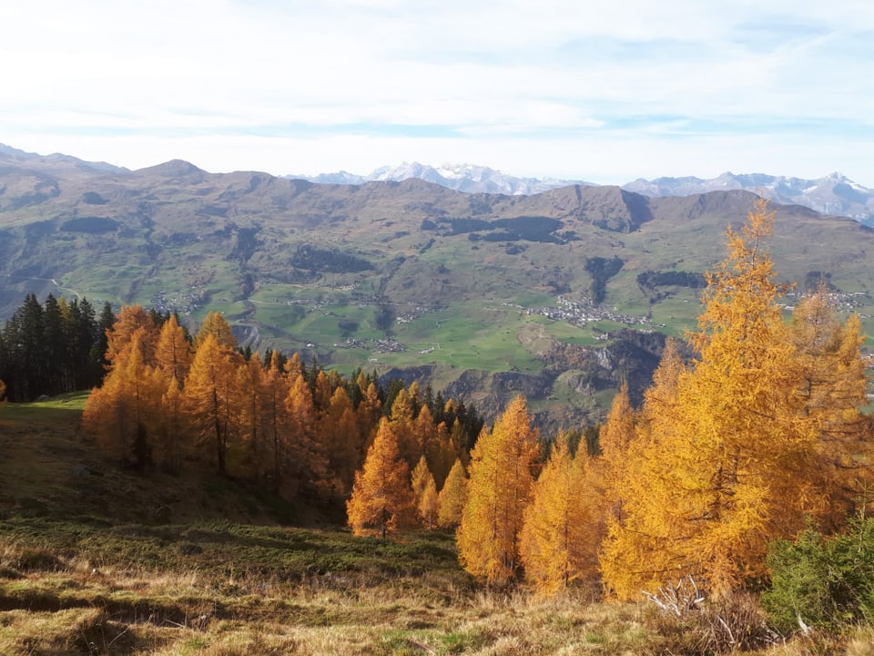 Herbstliche Berglandschaft mit gelb-orange gefärbten Bäumen.