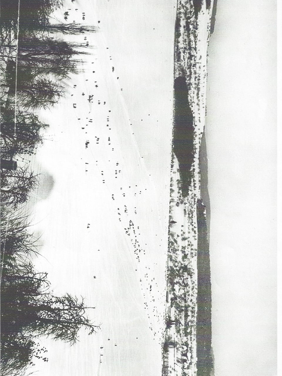 Schwarz-weiss Fotografie des gefrorenen Hallwilersees mit vielen Spaziergängern